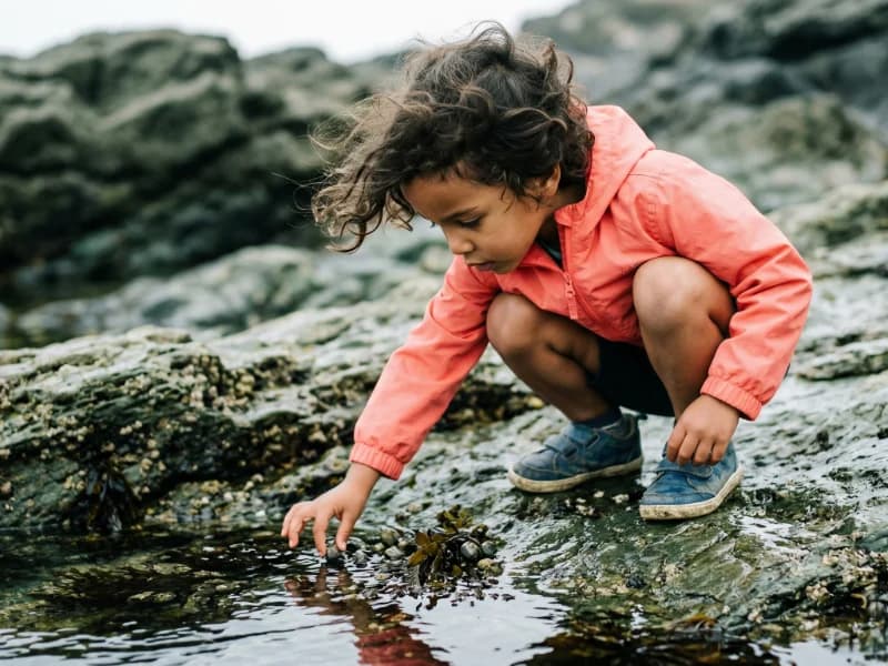 A child crouching at a coastal rock pool, reaching in, face lit with concentration