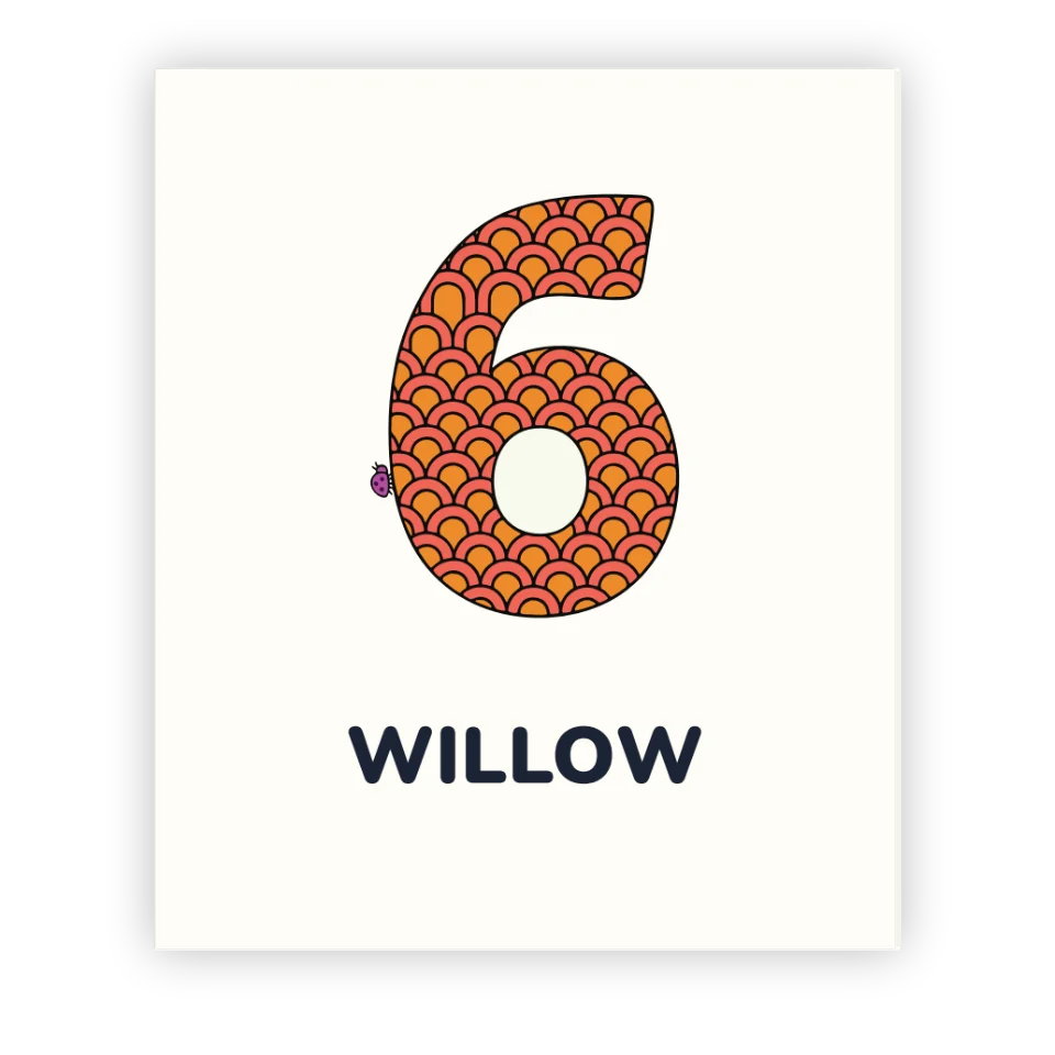 6 Year Old Birthday Book