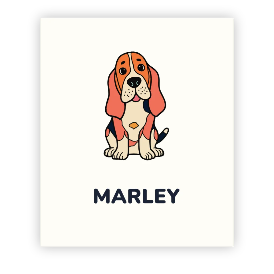 Basset Hound Colouring Book