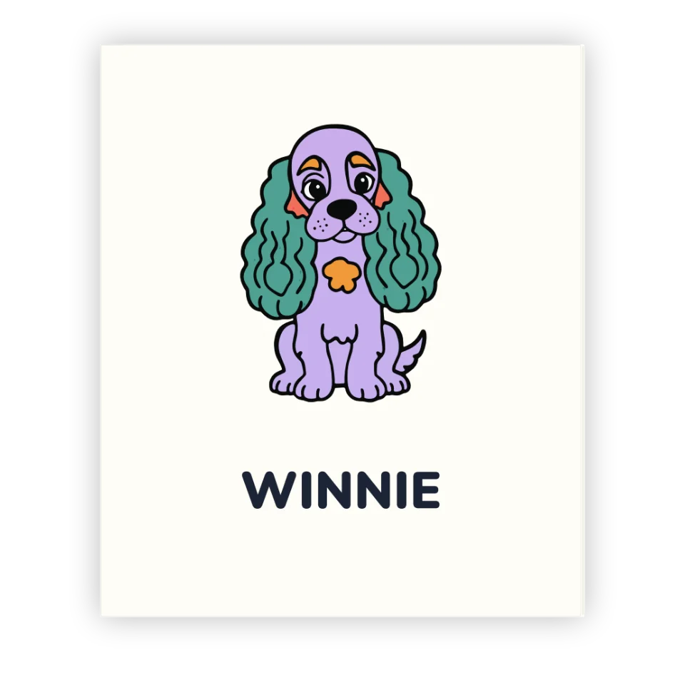 Cocker Spaniel Colouring Book